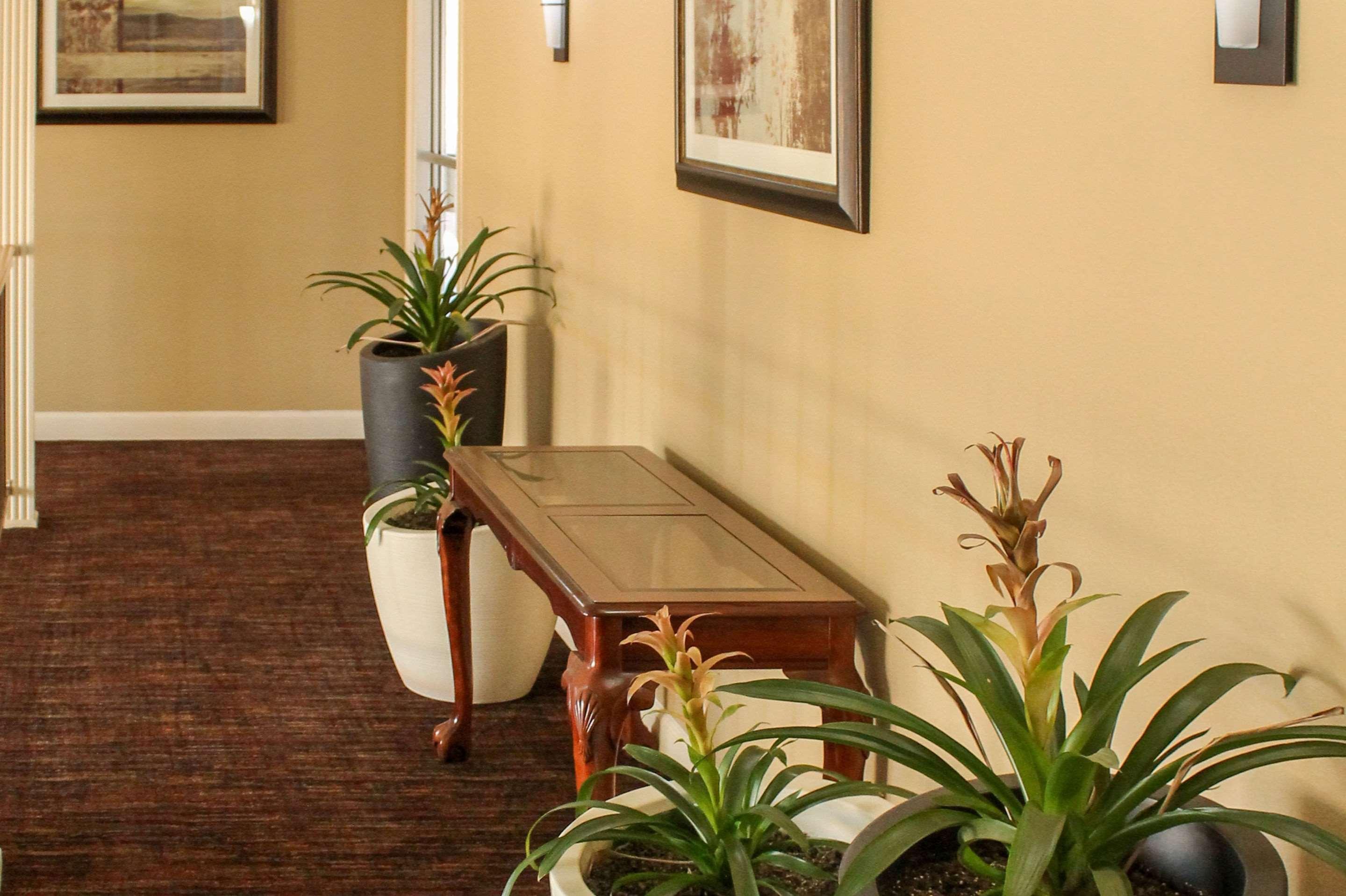 Quality Inn Arkadelphia - University Area Zewnętrze zdjęcie